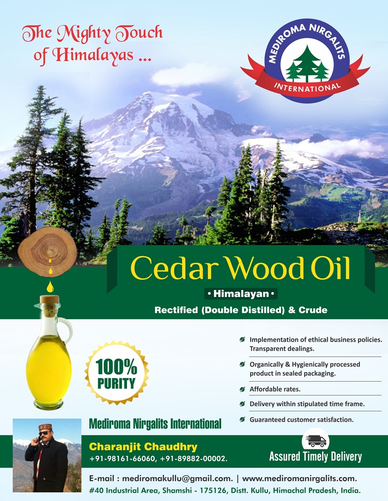 Cedar Wood Oil Flyer Design